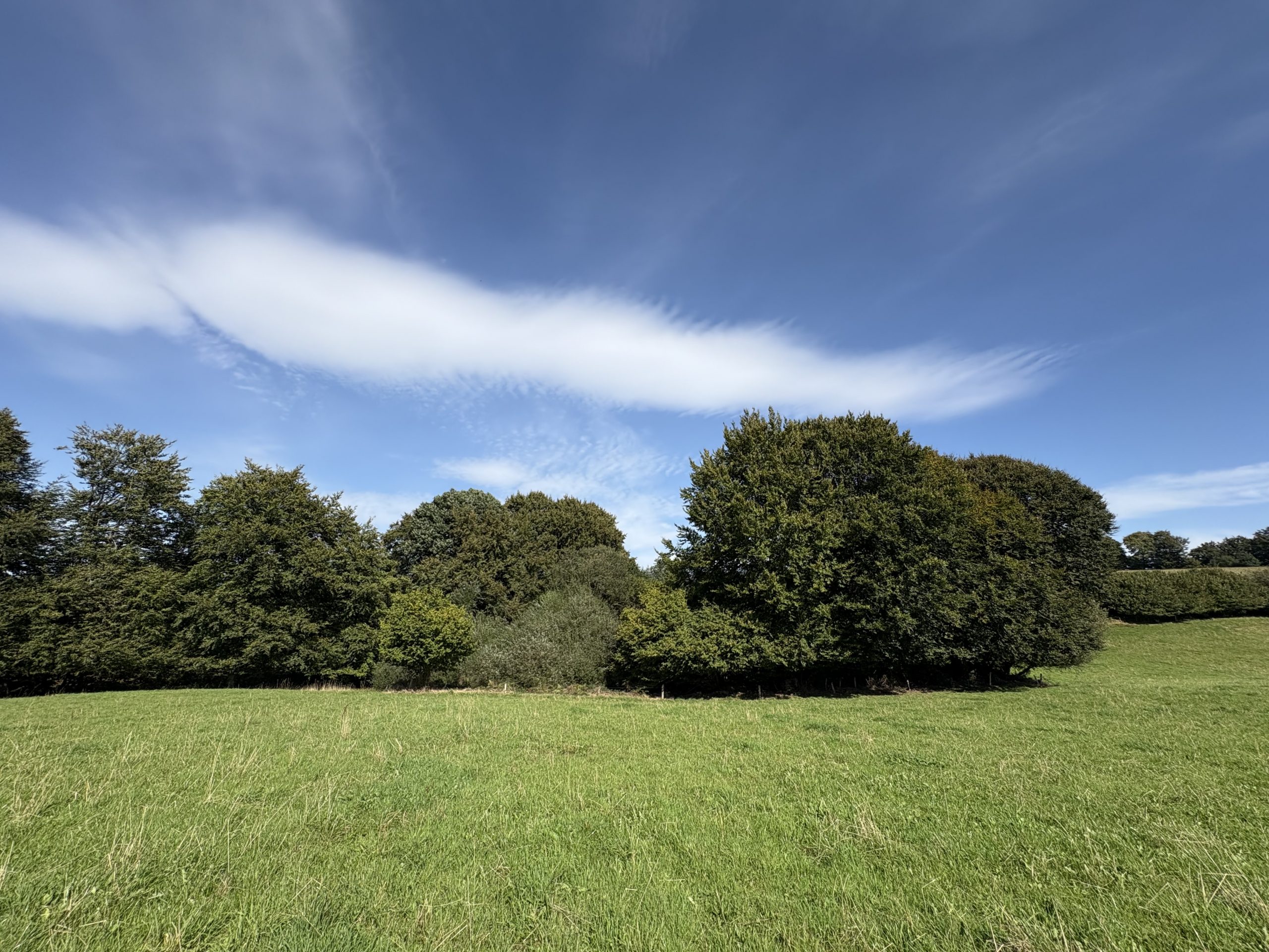 Country Life for Beginners